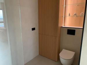 a bathroom with a toilet and a shower at SolMarina Apartment for Rent in Wiślinka