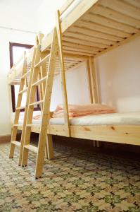 Koja eða kojur í herbergi á Lua Lua Hostel Las Palmas