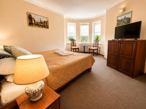 a bedroom with a bed and a flat screen tv at Hotel Three Korony in Skhidnitsa