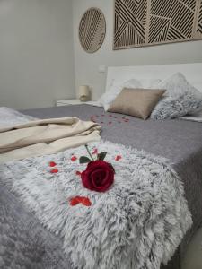 a red rose on a blanket on a bed at Stornelli Suite & Apartments in Avezzano