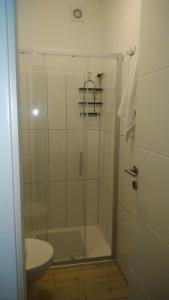 a bathroom with a shower with a toilet and a sink at Studio apartman Marija 2 in Bol