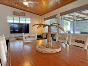 a palm tree sitting on top of a wooden table at Brownies on Birch in Amity Point