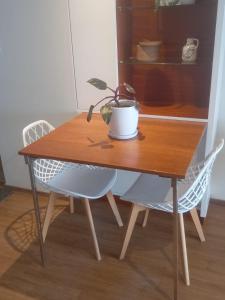a wooden table with a potted plant on top of it at Oceanview 2BR with Terrace in Punta Hermosa in Punta Hermosa