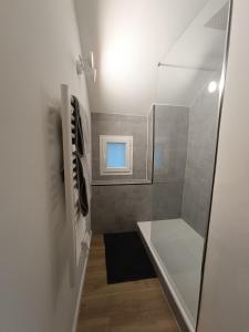 a bathroom with a walk in shower and a sink at La Terrasse de Mâlain in Mâlain