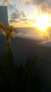 a sunset over the ocean with a flower on a balcony at Dar Moussa Assilah in Asilah