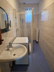 a bathroom with a sink and a shower at Holiday house Katrca in Pivka