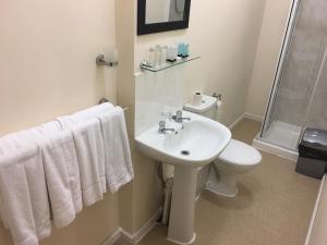 a bathroom with a sink, toilet and mirror at ML Lodge in Cardiff
