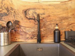 a kitchen sink with a soap dispenser next to a wooden wall at Owl Valley Cabin in Oswestry