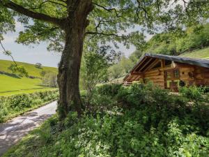 a log cabin with a tree next to a road at Owl Valley Cabin in Oswestry