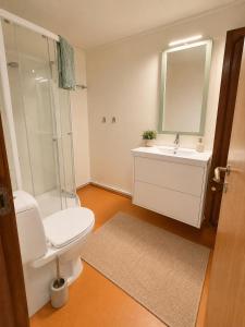 a bathroom with a toilet and a sink and a mirror at KB - Waterfront Villa Sørvågen in Moskenes +29 photos