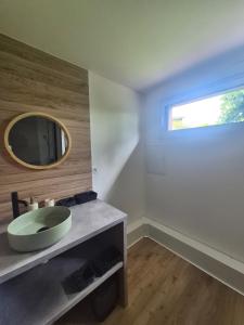 a bathroom with a sink and a mirror on a counter at Cocon moderne et chaleureux in Craon