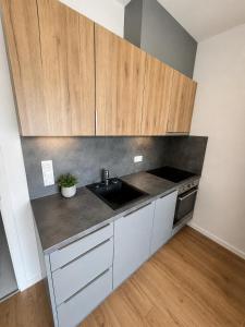 a kitchen with a sink and wooden cabinets at AH Terrace Jacuzzi Suite near Arena in Košice