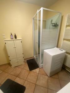 a bathroom with a shower and a toilet at Familly Jean Bart-Centre-ville in Dunkerque +36 photos
