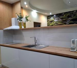 a kitchen with a sink and a counter top at Central Apartment Facing the Cathedral in Chişinău