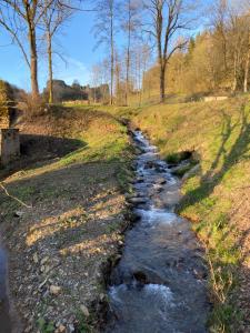 a stream on the side of a field with trees at Brin d'Air Lodge in Montcornet