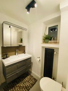 a bathroom with a sink and a toilet and a mirror at Ferienwohnung Servus in Traunstein +5 photos
