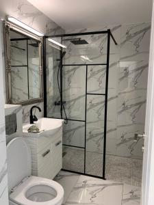 a bathroom with a shower and a toilet and a sink at Alfa Apartment in Dej
