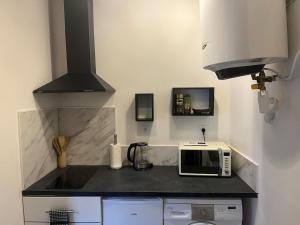 a kitchen with a counter top with a microwave at Cocon de Tonnerre in Tonnerre