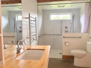 a bathroom with a sink and a toilet and a shower at Cedar Peak - Design-Forward Barrier-Free Chalet in Grand-Etang +19 photos