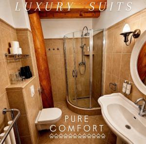 a bathroom with a shower and a toilet and a sink at Panorama Lodge in Pec pod Sněžkou +69 photos