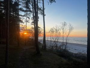 a sunset over a beach with trees and the ocean at Sunny Quiet Nest in Jūrmala