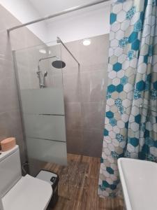a bathroom with a toilet and a shower at Rusu Sirianu rooms in Timişoara