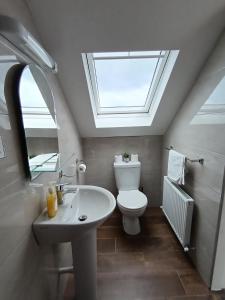 a bathroom with a toilet and a sink with a skylight at Radharc soiléir in Doolin
