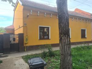 a yellow house with a trash can next to a tree at Rusu Sirianu rooms in Timişoara +10 photos