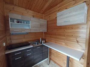 a kitchen with a counter and a sink in a cabin at Domek Leszek in Mikołajki