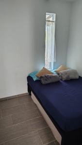 a bedroom with a blue bed with a window at Finca Santa Rita in Pereira