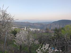 a view of a city from a hill with trees at Casa MANES in Pitres