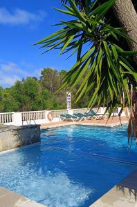 a large swimming pool with a palm tree next to it at Petit Paradis Apartment in Son Bou