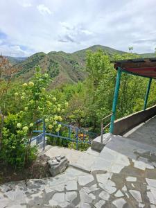 a view of the mountains with a blue railing at Адами Драхт in Garni