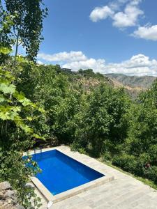 a blue swimming pool in the middle of some trees at Адами Драхт in Garni