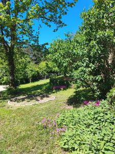 a park with trees and flowers in a field at Le Bois Charmant in Lamonzie-Montastruc +6 photos