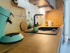 eine Küchenarbeitsplatte mit Spülbecken und Mixer in der Unterkunft ElbZeit in Hitzacker + 33 Fotos