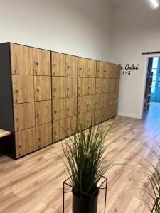 a wall of wooden panels in a room with a potted plant at Bajamar hostel in Laredo