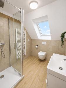 a bathroom with a shower and a toilet and a sink at Chalupa pod Špičákem in Smržovka +23 photos