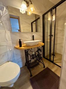 a bathroom with a sink and a toilet at Dunajecki Zakątek z Jacuzzi in Biały Dunajec