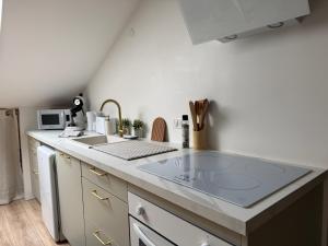 a kitchen with a sink and a counter top at Petite Merveille sous les toits - Centre de Dijon in Dijon