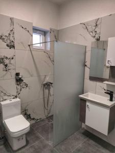 a bathroom with a toilet and a sink at Golden Guesthouse in Resen