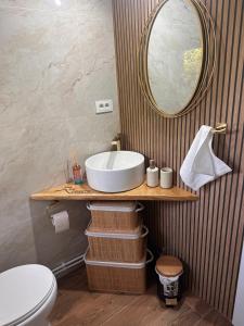 a bathroom with a sink and a mirror at Dor de Munte in Vărtăneşti +14 photos