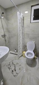 a bathroom with a shower and a toilet and a sink at Airport Apartment Masa in Mitrovići +9 photos