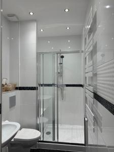a bathroom with a shower and a toilet and a sink at Apartamenty Stare Podwórko in Pilica +53 photos