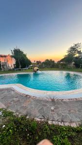 a swimming pool with an elephant in the water at Villa Liuba con piscina in Forio d'Ischia