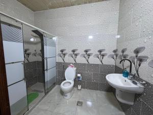 a bathroom with a toilet and a sink at Rabab3a Hotel in Ajloun +19 photos