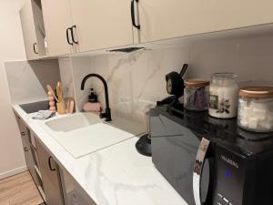 a kitchen with a sink and a counter top at Le nid des étoiles - Tram & Centre in Dijon