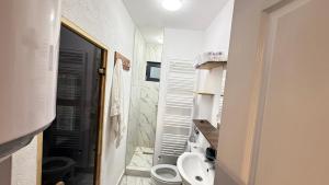 a small bathroom with a toilet and a sink at Cabanele Infinyti in Colibiţa +24 photos