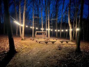 a park at night with a bench and lights at Cabin #1 on Meramec River in Steelville