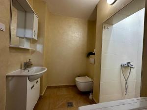 a bathroom with a sink and a toilet and a shower at Liberty Apartments in Cetinje +13 photos